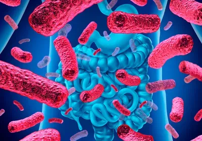 Optimize Microbiome Sample Collection